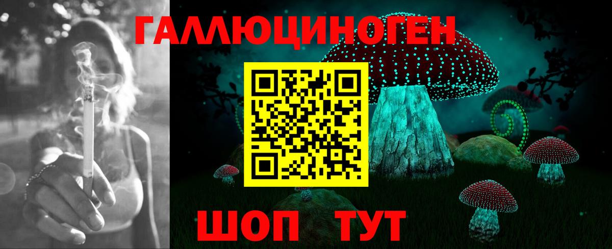Галлюциногенные грибы Psilocybine cubensis  Вход с VPN  Галлюциногенные грибы Cubensis  Ленинск-Кузнецкий 