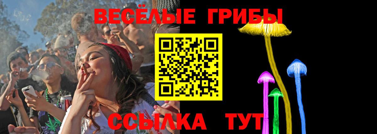 Псилоцибиновые грибы прущие грибы Ленинск-Кузнецкий